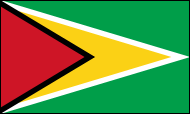 Флаг Гайаны, соотношение сторон 1:2. На зеленом поле треугольник красного цвета с черной окантовкой у основания флага, вписанный в треугольник желтого цвета с белой окантовкой, символизирующий стрелу. Принят в 1966г. Цвета, используемые при оформлении флага, означают следующее: зеленый – природа и сельское хозяйство Гайаны, белый – реки и водные ресурсы страны, желтая стрела – богаство минеральных ресурсов, черный – стойкость народа страны перед трудностями, красный – упорство и динамичный характер народа в строительстве независимого государства.