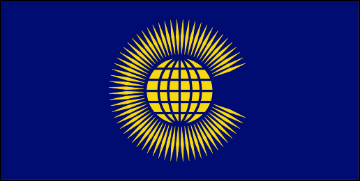 Флаг организации