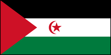 Флаг Западной Сахары, соотношение сторон 1:2. На обратной стороне флага полумесяц и звезда не изображается.