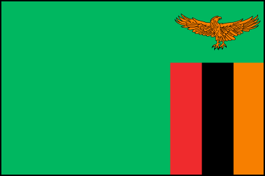 Флаг Замбии. Соотношение сторон 2:3. Представляет собой зеленое полотнище. В нижнем правом углу размещены три вертикальных равновеликих полосы красного, черного и оранжевого цветов. Над ними располагается изображение орла желтого цвета с расправленными крыльями. Принят в 24.10.1964г., в 1996г. был видоизменен. Красный цвет означает борьбу за свободу, черный – чернокожее население страны, оранжевый – природные ресурсы Замбии. Орел, возможно, означает способность народа страны быть выше национальных проблем. В основе государственного флага Замбии лежит флаг Объединенной Национальной Независимой партии (UNIP), которая возглавила борьбу за независимость в 1960-е гг.